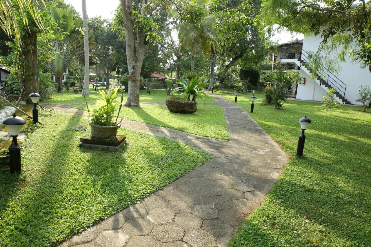 היקדואה Ayurveda Centrum Lawrence Hill Paradise מראה חיצוני תמונה