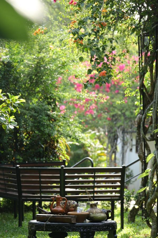 היקדואה Ayurveda Centrum Lawrence Hill Paradise מראה חיצוני תמונה